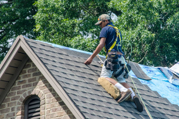 Professional Roofing Contractor in Pleasant View, TN